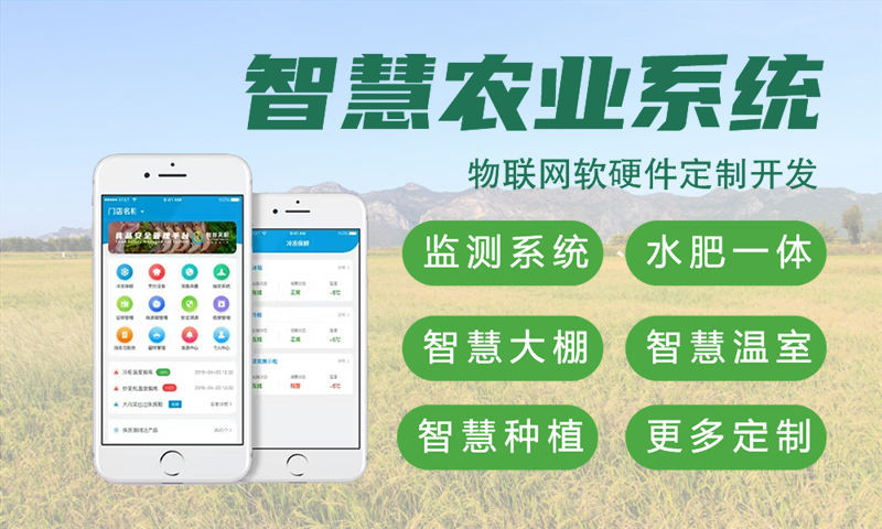 宁波物联网设备开发解决方案：破解智能硬件研发难题，助力企业高效转型