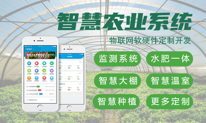 泉州物联网开发如何破解企业硬件研发难题？嵌入式软件工程师助力智能硬件高效落地