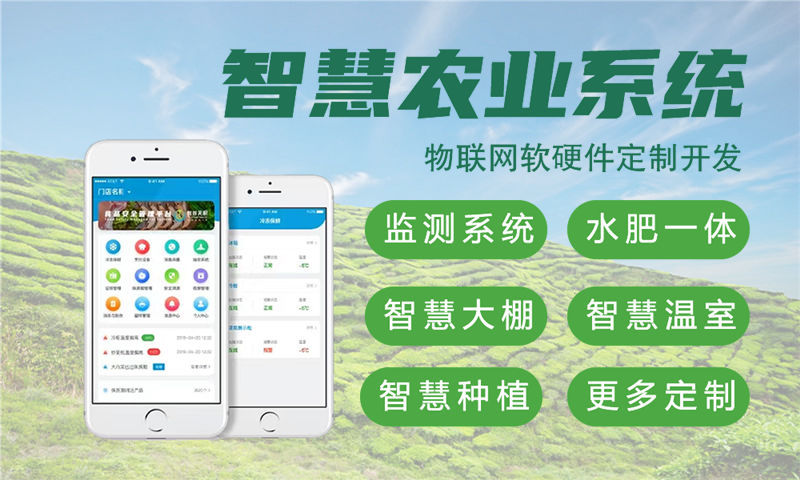 烟台物联网单片机开发：破解智能硬件研发难题的高效解决方案