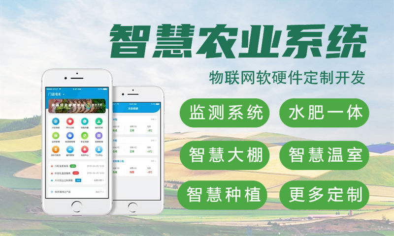 郑州物联网开发新选择：嵌入式图像处理如何破解智能硬件研发难题