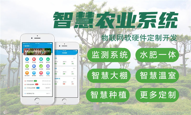 北京物联网传感器开发：高效解决方案助力企业智能转型