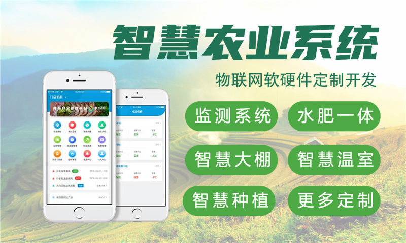 苏州物联网设备开发：破解企业硬件研发难题的专业解决方案