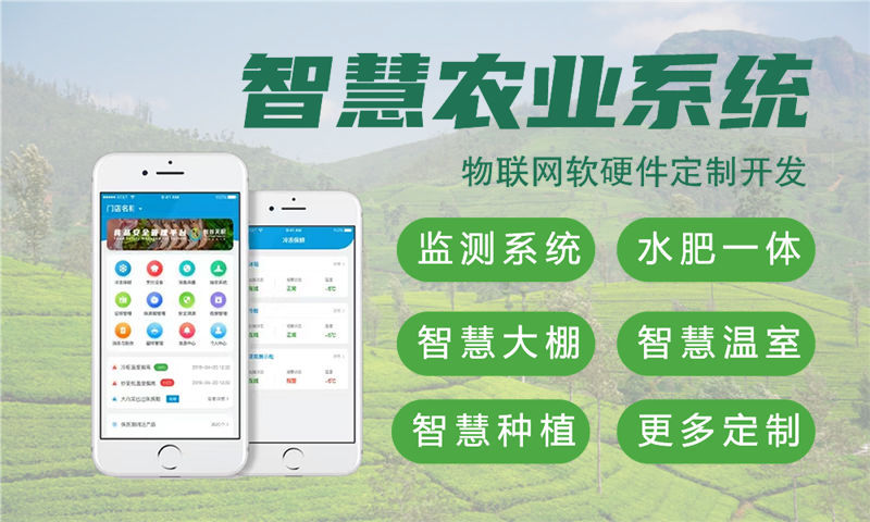 东莞嵌入式测试开发：破解智能硬件研发难题的高效解决方案