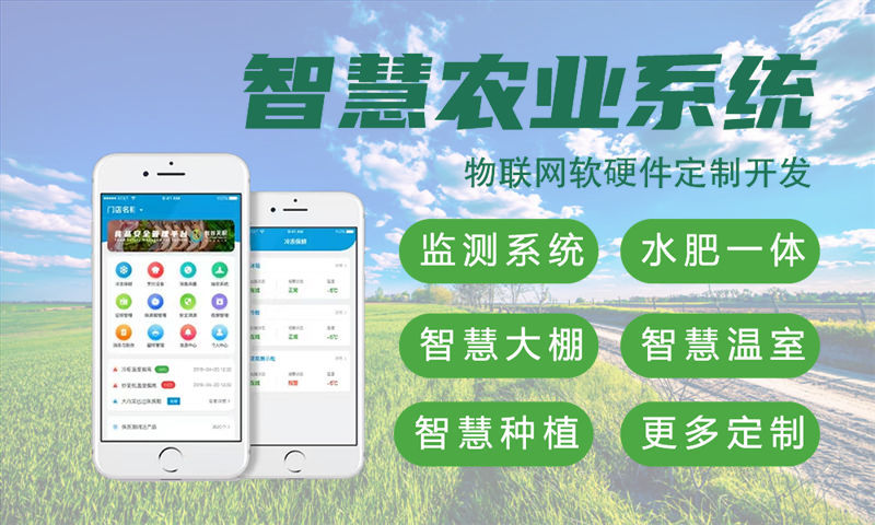 无锡物联网开发如何破解硬件电路设计难题？专业单片机开发解决方案深度解析