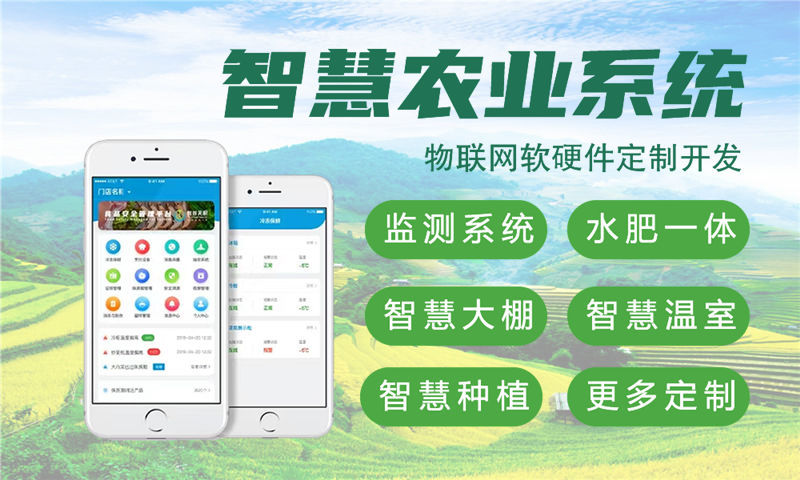 杭州物联网开发企业如何借助嵌入式系统架构师突破硬件研发瓶颈