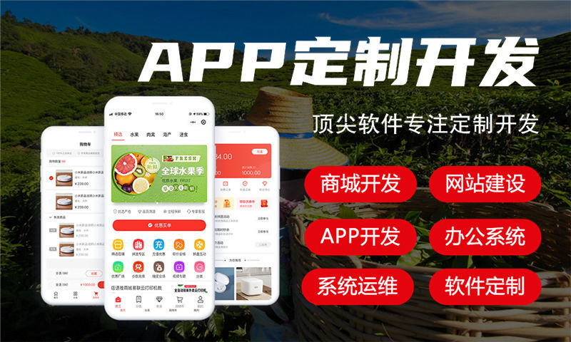 青岛链动2+1商城系统小程序开发解决方案：助力企业数字化转型的高效工具