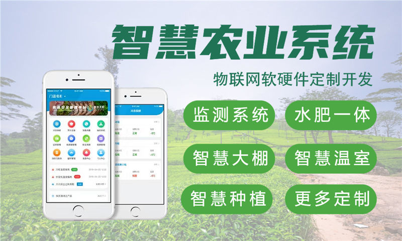 成都嵌入式音视频开发解决方案：突破智能硬件研发瓶颈的高效路径