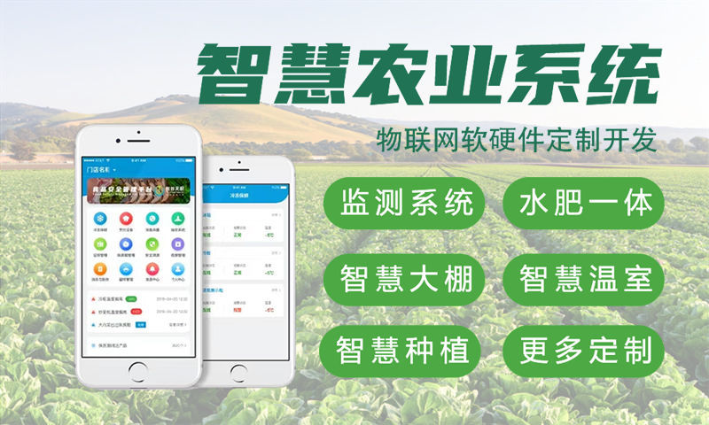 东莞物联网系统开发：高效解决硬件研发难题，助力企业智能化转型