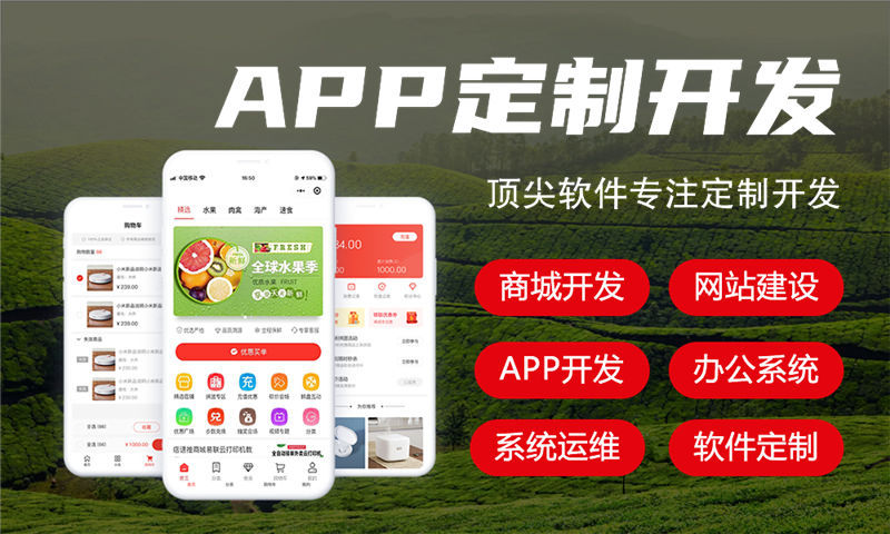 广州大风车商城系统定制开发（小程序、软件）助力企业数字化转型