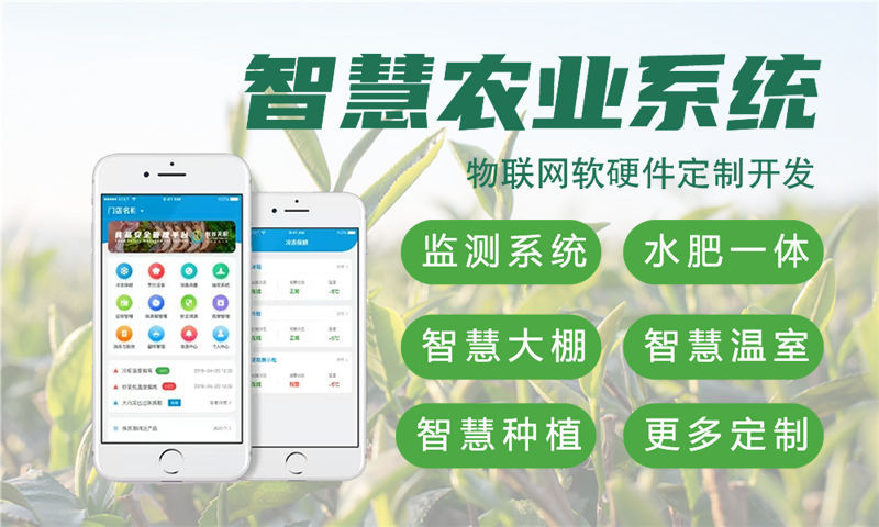 成都物联网开发新选择：Raspberry Pi智能硬件开发助力企业快速转型